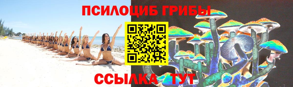 Галлюциногенные грибы Psilocybe  Вход с VPN  Галлюциногенные грибы Psilocybe  Родники 