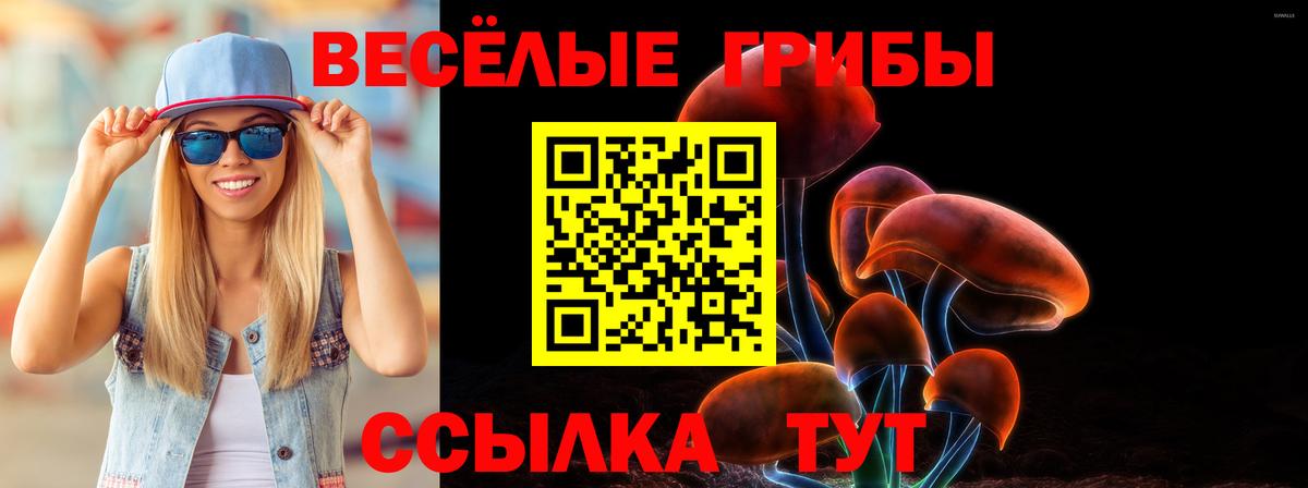 Галлюциногенные грибы GOLDEN TEACHER Родники